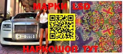 бошки Гусев