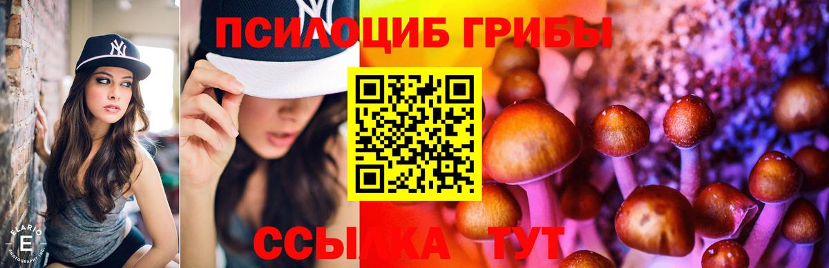 Псилоцибиновые грибы Psilocybe  цены наркотик  Новошахтинск  Вход с VPN  Галлюциногенные грибы Magic Shrooms 